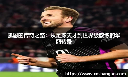 zoty中欧体育